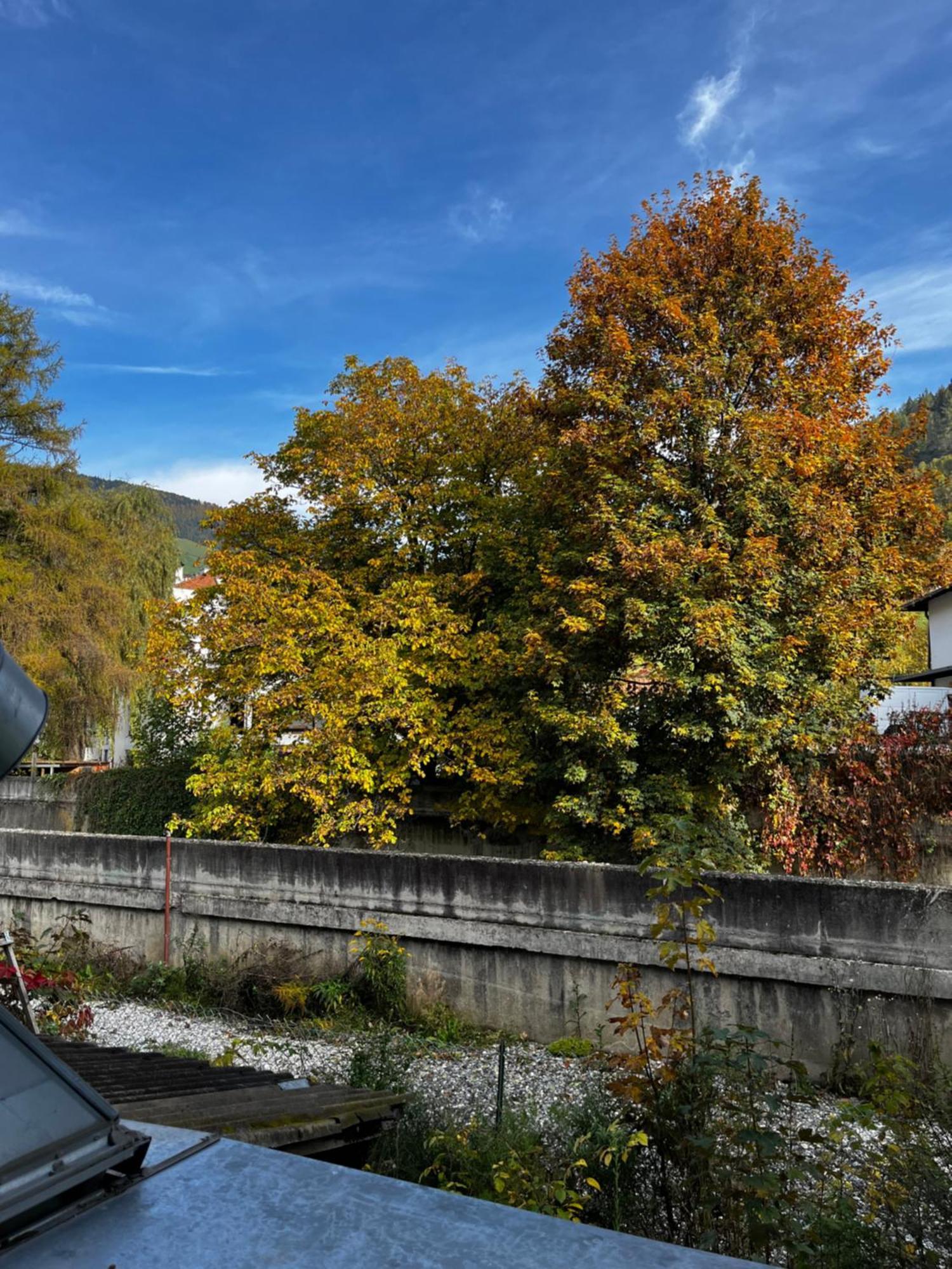 Gasthof Sterzingerhof Dış mekan fotoğraf